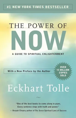 the power is now book cover